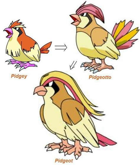 pokemon piggy evolution.